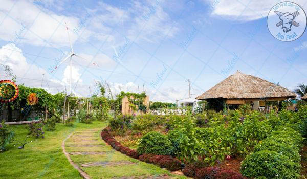 Chọn ng&agrave;y với thời tiết tốt