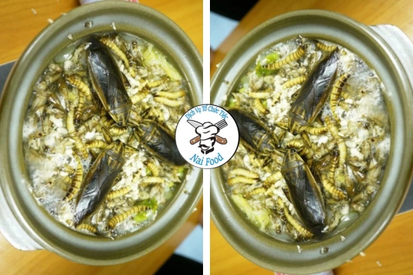 Lẩu c&ocirc;n tr&ugrave;ng (bọ cạp, ch&acirc;u chấu, nhộng)